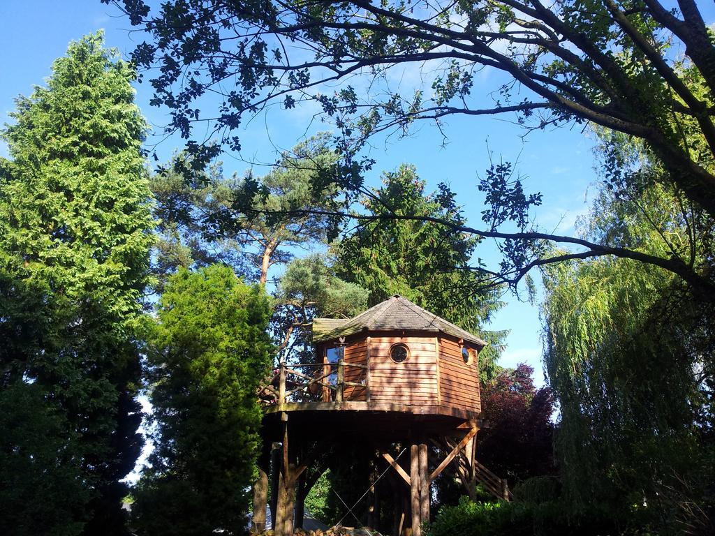 Domaine De La Carrauterie by Terre Insolite Sautin Zimmer foto